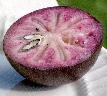Tamarind Fruit